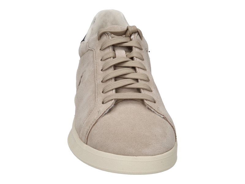 Polo Ralph Lauren Baskets Taupe