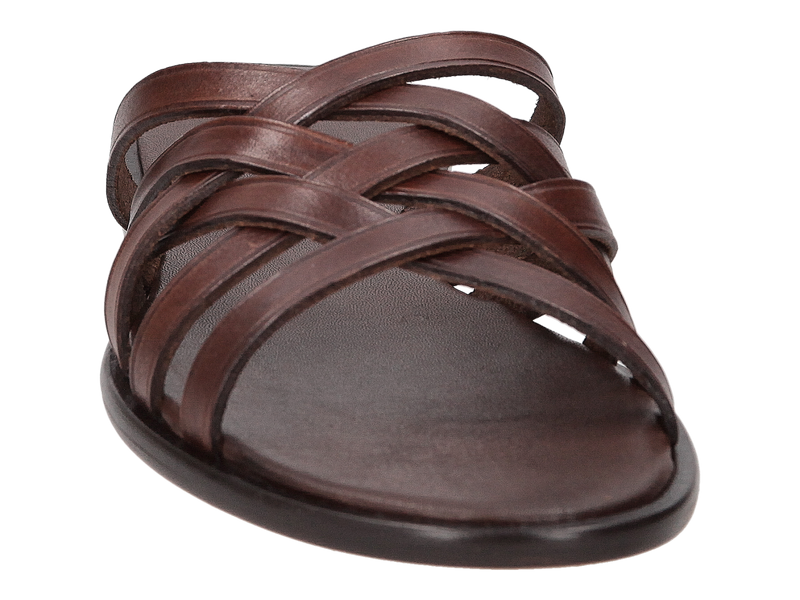 Dragon Diffusion Sandals Brown