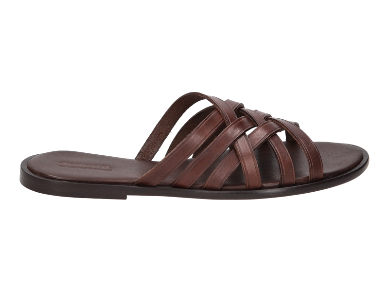 Dragon Diffusion Sandals Brown