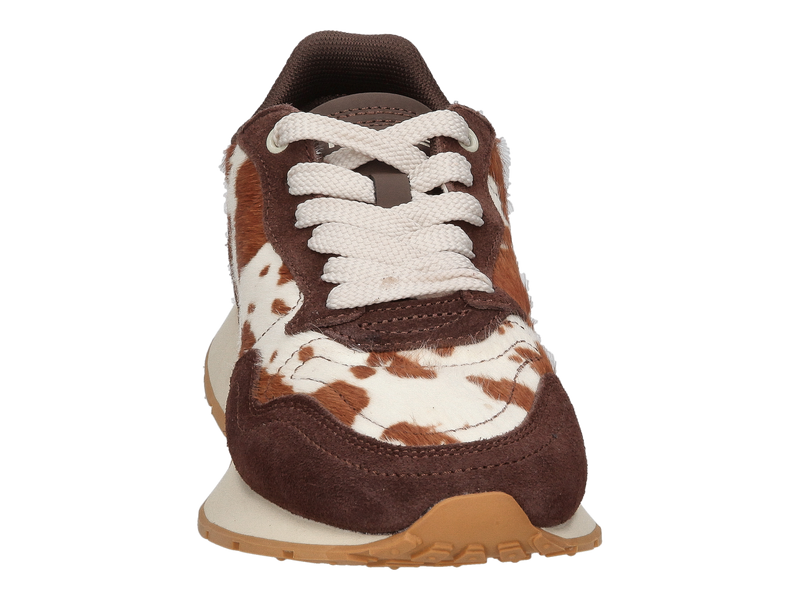 Hoff Sneakers Bruin