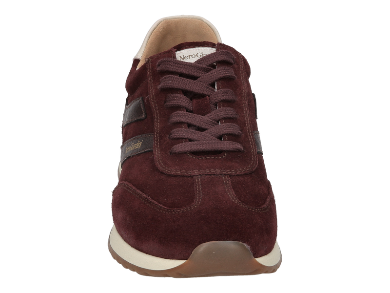 Nero Giardini Sneakers Bordeaux