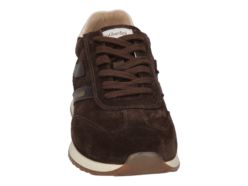 Nero Giardini Sneakers Bruin