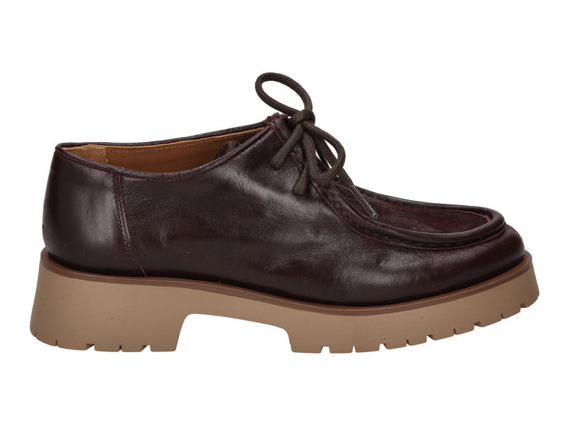 Bekijk product 'Ctwlk Veterschoenen Bordeaux' Ctwlk Veterschoenen Bordeaux