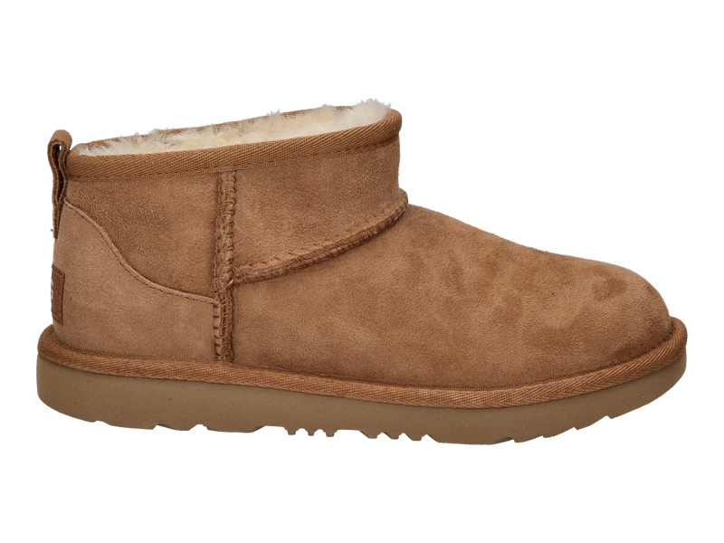 Ugg Boots Cognac