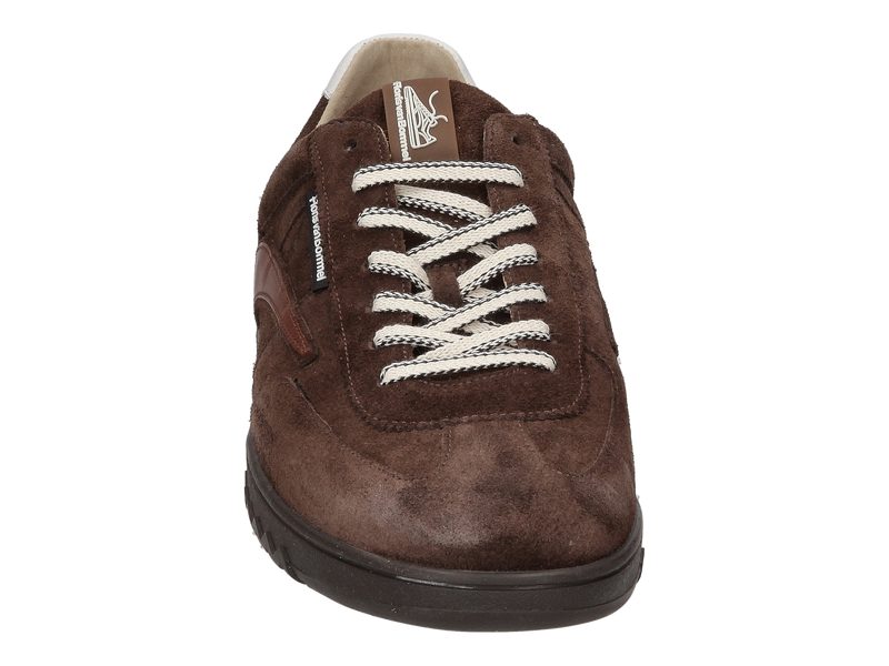 Floris Van Bommel Sneakers Bruin