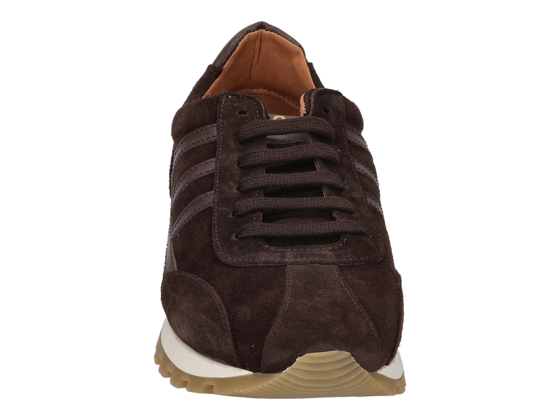 Belang Sneakers Bruin