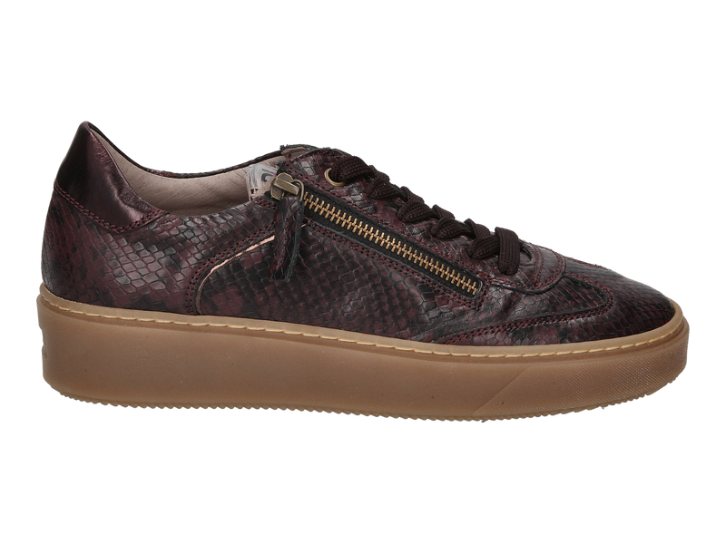 View product 'Dlsport Sneakers Bordeaux' Dlsport Sneakers Bordeaux