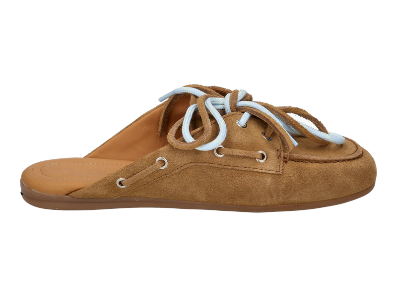 Posa Mules Camel
