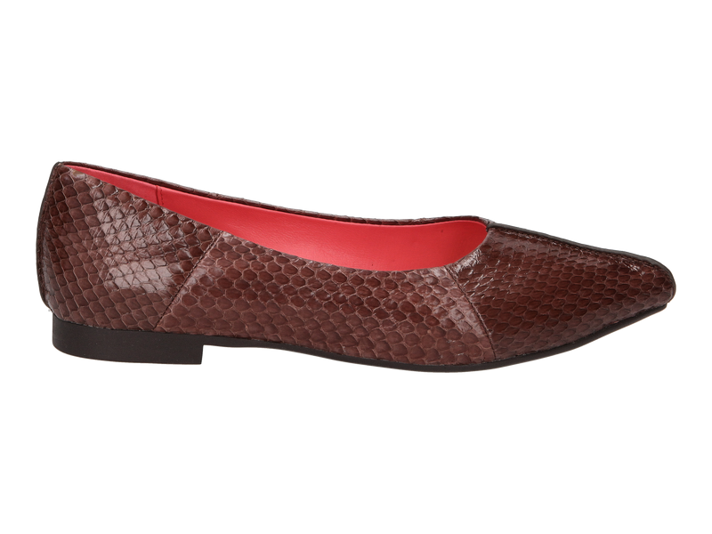 Voir le produit 'Blackrose Ballerines Brun' (en anglais) Blackrose Ballerines Brun