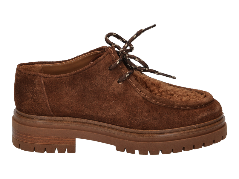 Ctwlk Laces Brown