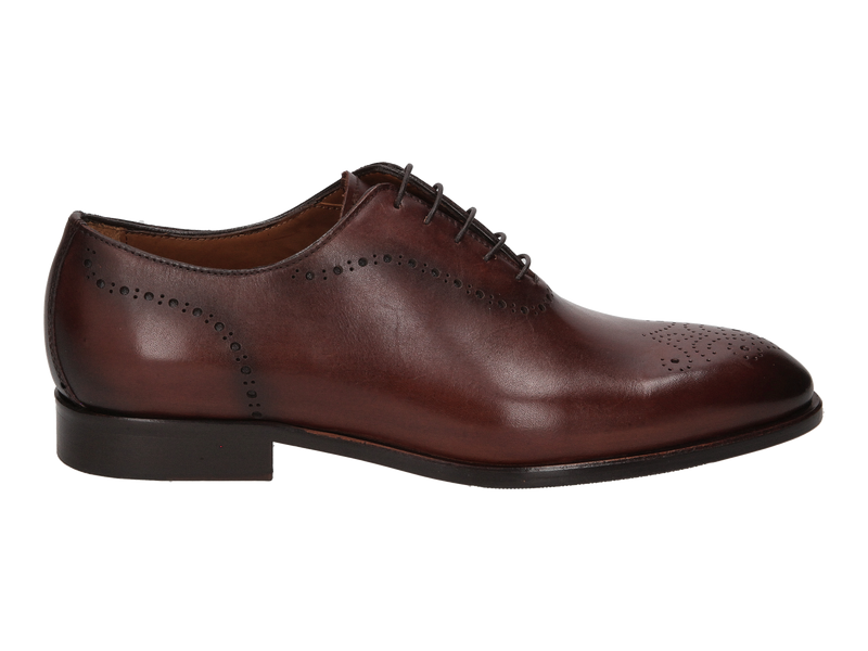 Flecs Lace Shoes Brown