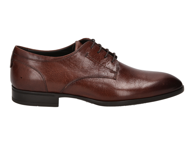 Giorgio Chaussures à Lacets Brun