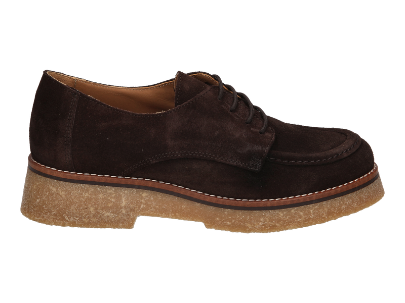 Belang Laces Brown