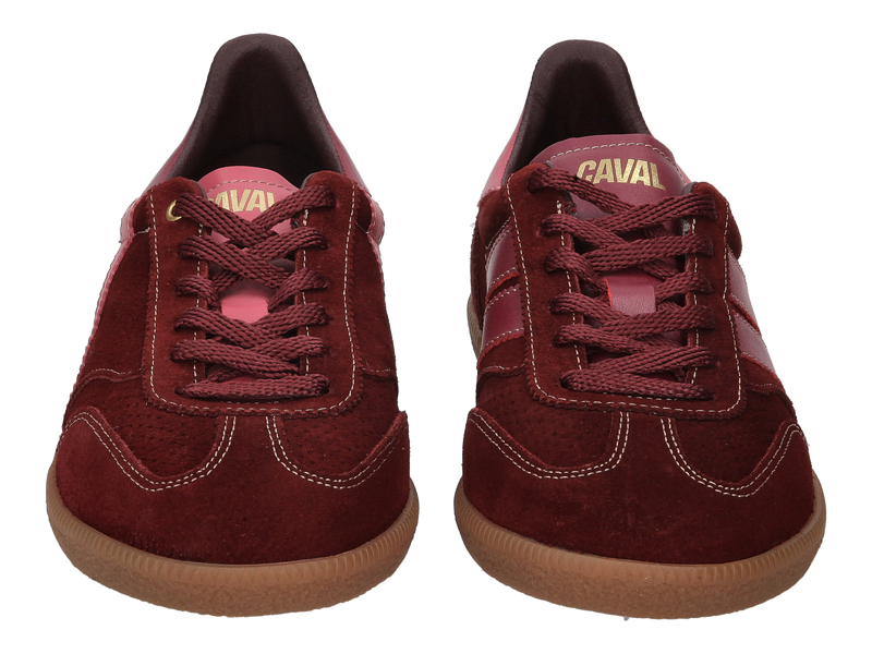 Caval Sneakers Bordeaux