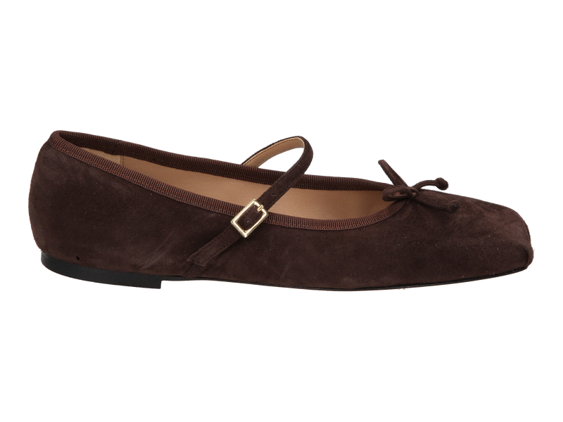 Prosperine Ballerinas Brown