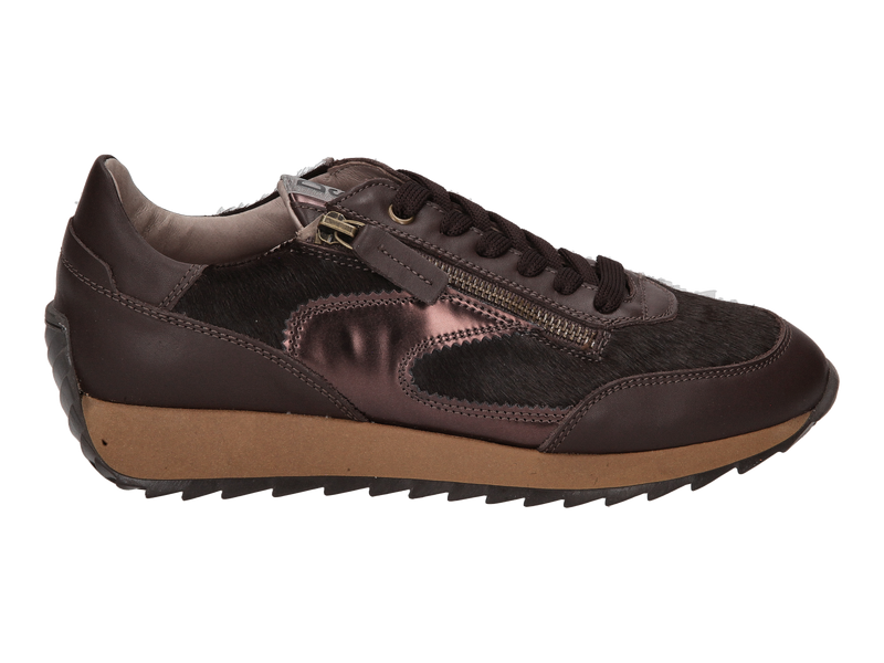 Dlsport Sneakers Bruin