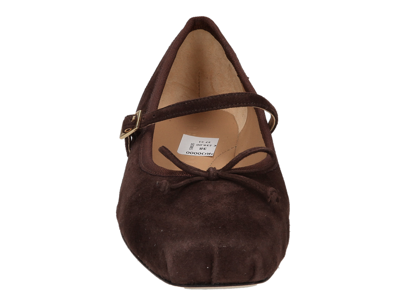 Prosperine Ballerinas Brown