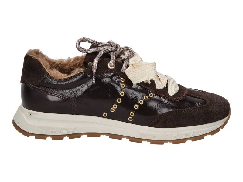Gianluca Pisati Sneakers Bruin