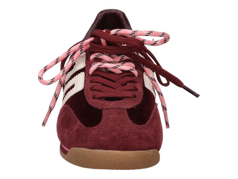 Back 70 Sneakers Bordeaux