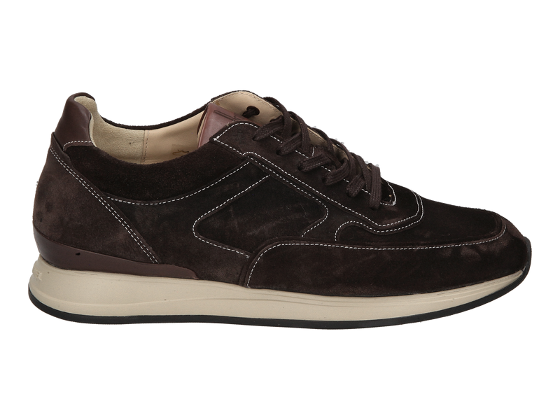 Van Bommel Sneakers Brown