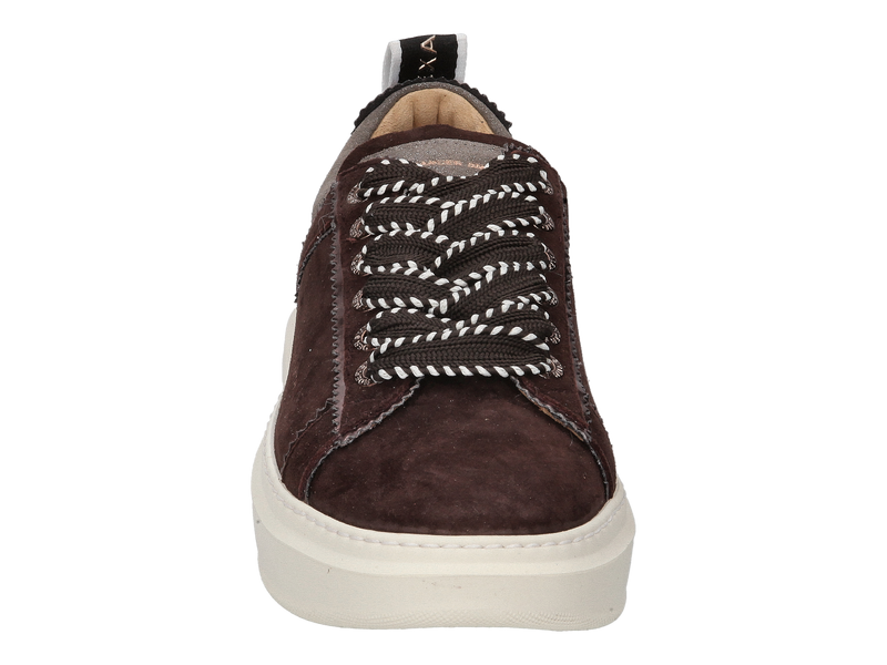 Alexander Smith Sneakers Bruin