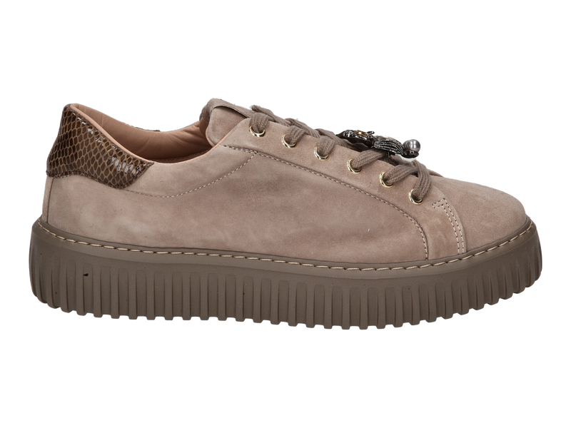 Stokton Sneakers Beige
