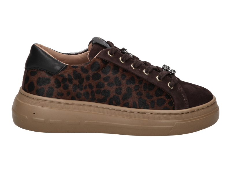 Stokton Sneakers Brown
