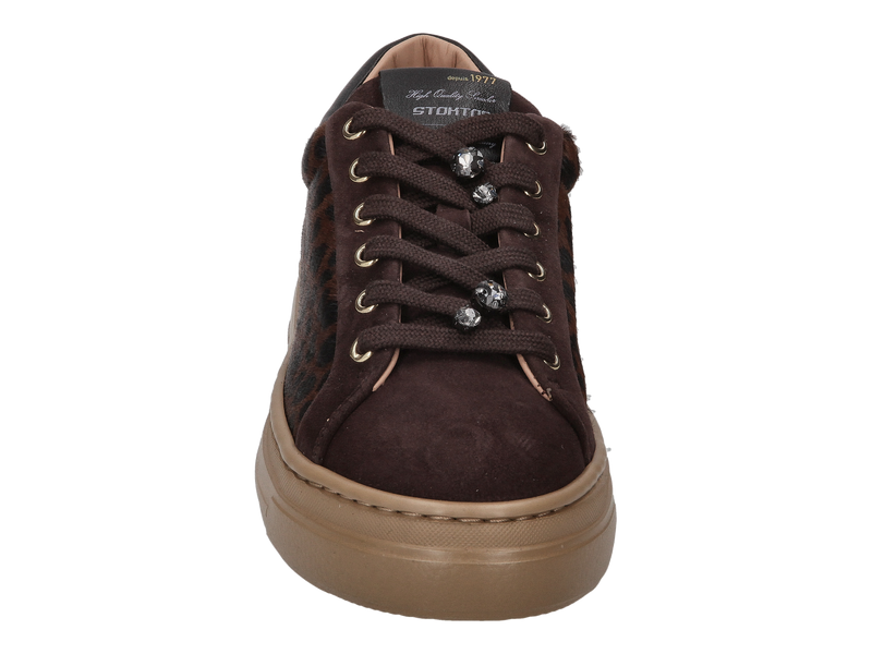Stokton Sneakers Brown