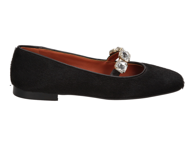 Prosperine Ballerinas Brown