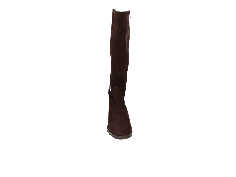 Belang Bottes Brun