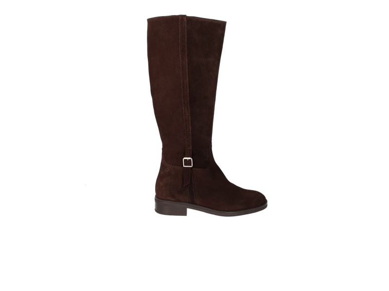 Belang Bottes Brun