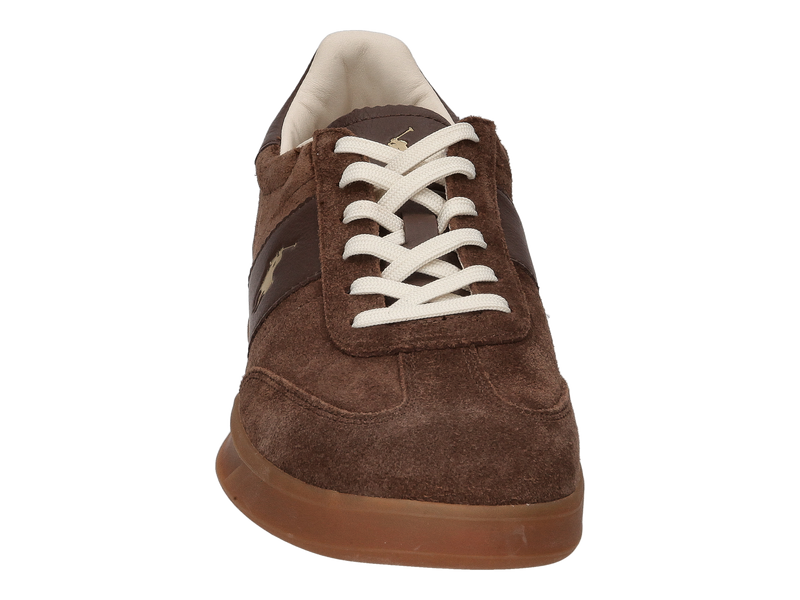 Polo Ralph Lauren Sneakers Bruin