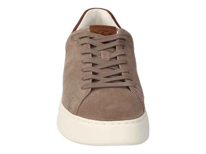 Polo Ralph Lauren Baskets Taupe