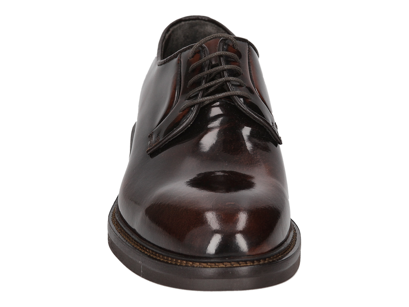 Dino Draghi Chaussures à Lacets Brun