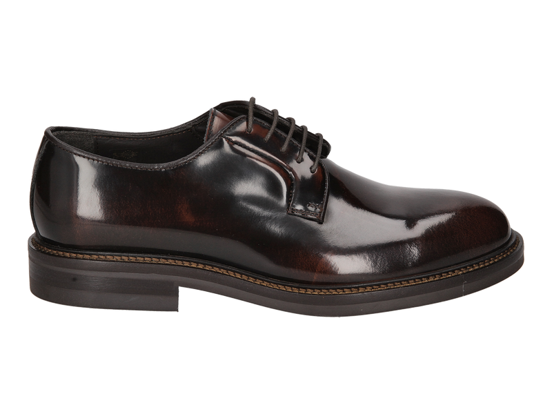 Dino Draghi Chaussures à Lacets Brun
