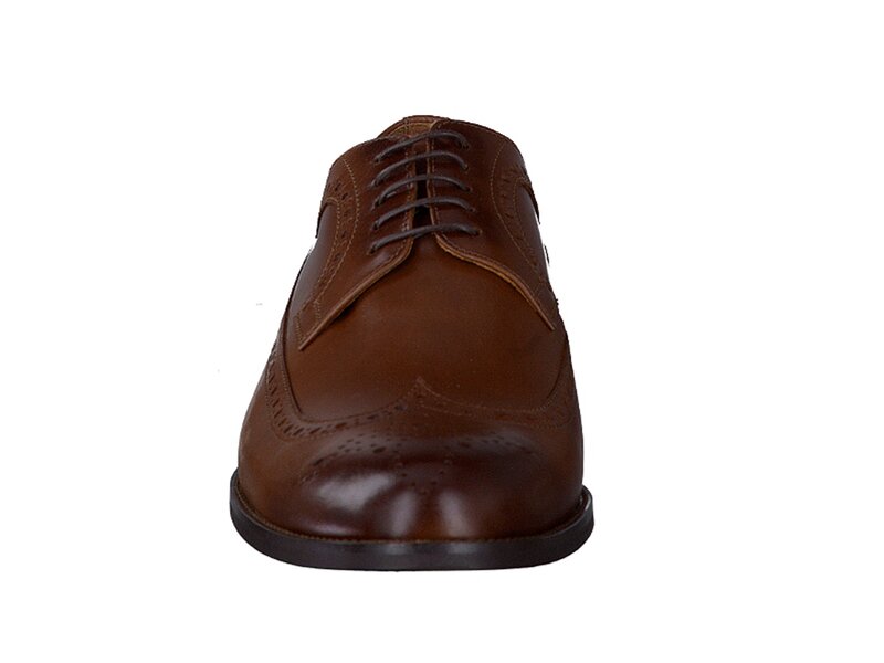 Conhpol Lace Shoes Brown